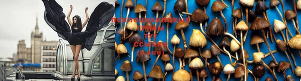 эйфоретик Кулебаки