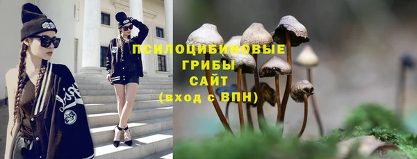 хмурый Абдулино