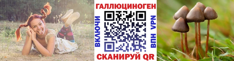магазин Исилькуль Галлюциногенные грибы мицелий